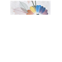 Faianta decorativa 1039 HL 1  20 x 60 - 1