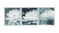 Faianta decorativa Satvario 1  20 x 60