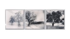 Faianta decorativa Satvario 2  20 x 60