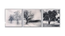 Faianta decorativa Satvario 2  20 x 60