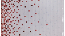 Faianta decorativa Tamara Red  25 x 40
