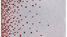 Faianta decorativa Tamara Red  25 x 40