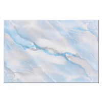 Faianta Living Jaen Blue  20 x 30 - 1