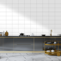 Faianta Living Super White  20 x 30  lucioasa - 2