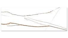Faianta rectificata Seth White  30 x 90  lucioasa