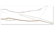 Faianta rectificata Seth White  30 x 90  lucioasa