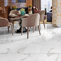 Gresie exterior / interior portelanata Carrara Lucios  60 x 60 cm  mata  rectificata  tip marmura - 2