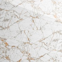 Gresie exterior / interior portelanata Fiesta White  59 5 x 119 5 cm  lucioasa  rectificata  tip marmura - 1