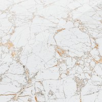 Gresie exterior / interior portelanata Fiesta White  59 5 x 119 5 cm  lucioasa  rectificata  tip marmura - 4