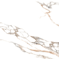 Gresie exterior / interior portelanata Malzini  48 x 48 cm  lucioasa  tip marmura - 1