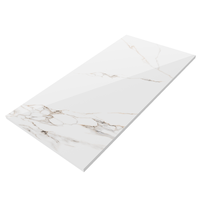 Gresie exterior / interior portelanata Malzini (Elegant)  60 x 120 cm  lucioasa  rectificata  tip marmura - 9