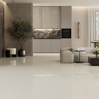 Gresie exterior / interior portelanata Soluble Salt Plain Ivory  60 x 60 cm  lucioasa  rectificata - 2