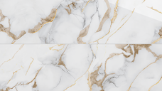 Gresie Portelanata Marble Gold Insert 60 x 120 cm pentru Interior si Exterior