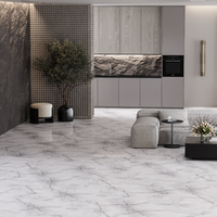 Gresie portelanata rectificata Anti Sky Silver  60X60  lucioasa - 2