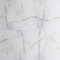 Gresie portelanata rectificata Anti Sky Silver  60X60  lucioasa - 1