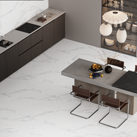 Gresie portelanata rectificata Avenzo Silver  60X120  mata - 2