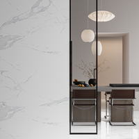 Gresie portelanata rectificata Avenzo Silver  60X120  mata - 3