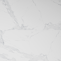 Gresie portelanata rectificata Avenzo Silver  60X120  mata - 1
