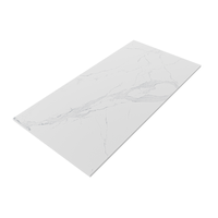 Gresie portelanata rectificata Avenzo Silver  60X120  mata - 5