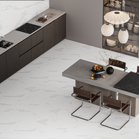 Gresie portelanata rectificata Avenzo Silver  60X60  lucioasa - 2