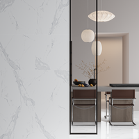 Gresie portelanata rectificata Avenzo Silver  60X60  lucioasa - 3