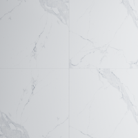 Gresie portelanata rectificata Avenzo Silver  60X60  lucioasa - 1