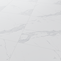 Gresie portelanata rectificata Avenzo Silver  60X60  lucioasa - 4