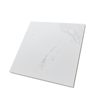 Gresie portelanata rectificata Avenzo Silver  60X60  lucioasa - 5