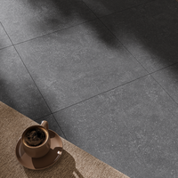 Gresie portelanata rectificata Benelux Grey  60 x 60 x 2  mata - 4