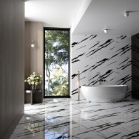 Gresie portelanata rectificata Black Panda Endless  60X120  lucioasa - 2