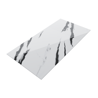 Gresie portelanata rectificata Black Panda Endless  60X120  lucioasa - 7