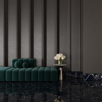 Gresie portelanata rectificata Black Potaro  60 x 60  lucioasa - 2
