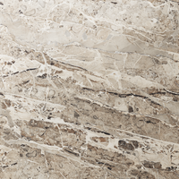 Gresie portelanata rectificata Blue Brescia Endless  60X120  lucioasa - 1