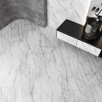 Gresie portelanata rectificata Carrara Endless  60X120  lucioasa - 3