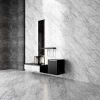 Gresie portelanata rectificata Carrara Endless  60X120  lucioasa - 4
