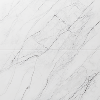 Gresie portelanata rectificata Carrara Endless  60X120  lucioasa - 1