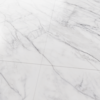Gresie portelanata rectificata Carrara Endless  60X120  lucioasa - 5