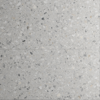 Gresie portelanata rectificata Cheppo Silver Carving  60 x 120 cm  mata - 1