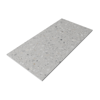 Gresie portelanata rectificata Cheppo Silver Carving  60 x 120 cm  mata - 5