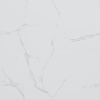 Gresie portelanata rectificata Classic Statuario  60X120 cm  mata - 1