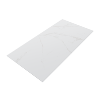 Gresie portelanata rectificata Classic Statuario  60X120 cm  mata - 5