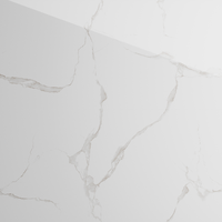 Gresie portelanata rectificata Classic Statuario  60X120  lucioasa - 1