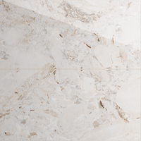 Gresie portelanata rectificata Era Stone White  60X120  lucioasa - 1
