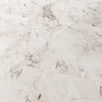 Gresie portelanata rectificata Era Stone White  60X120  lucioasa - 5