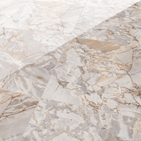 Gresie portelanata rectificata Fasco Natural  60X60  lucioasa - 4
