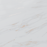 Gresie portelanata rectificata Gold Flakes Carving  60X120  mata - 5