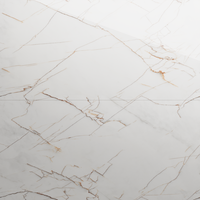 Gresie portelanata rectificata Golden Spider Endless  60X120  lucioasa - 1