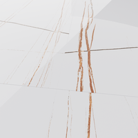 Gresie portelanata rectificata Jeff Lewis White  60X120 cm  lucioasa - 5