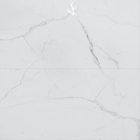 Gresie portelanata rectificata Luminus White Carving  60X120 cm  mata - 1