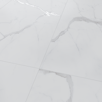 Gresie portelanata rectificata Luminus White Carving  60X120 cm  mata - 4